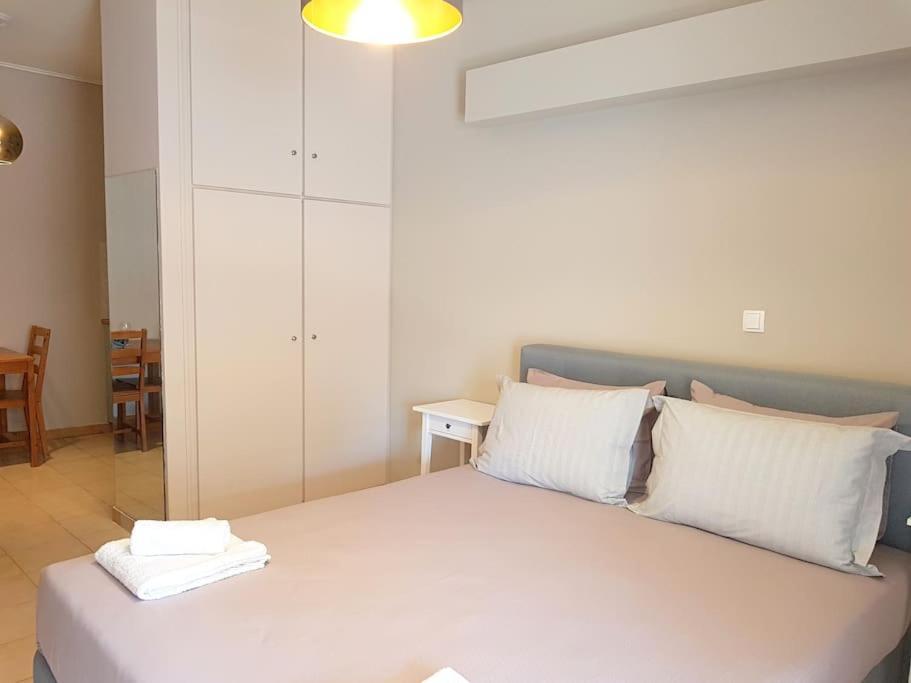 Athens Campus Renovated Studio Apartment @ Ilisia ภายนอก รูปภาพ